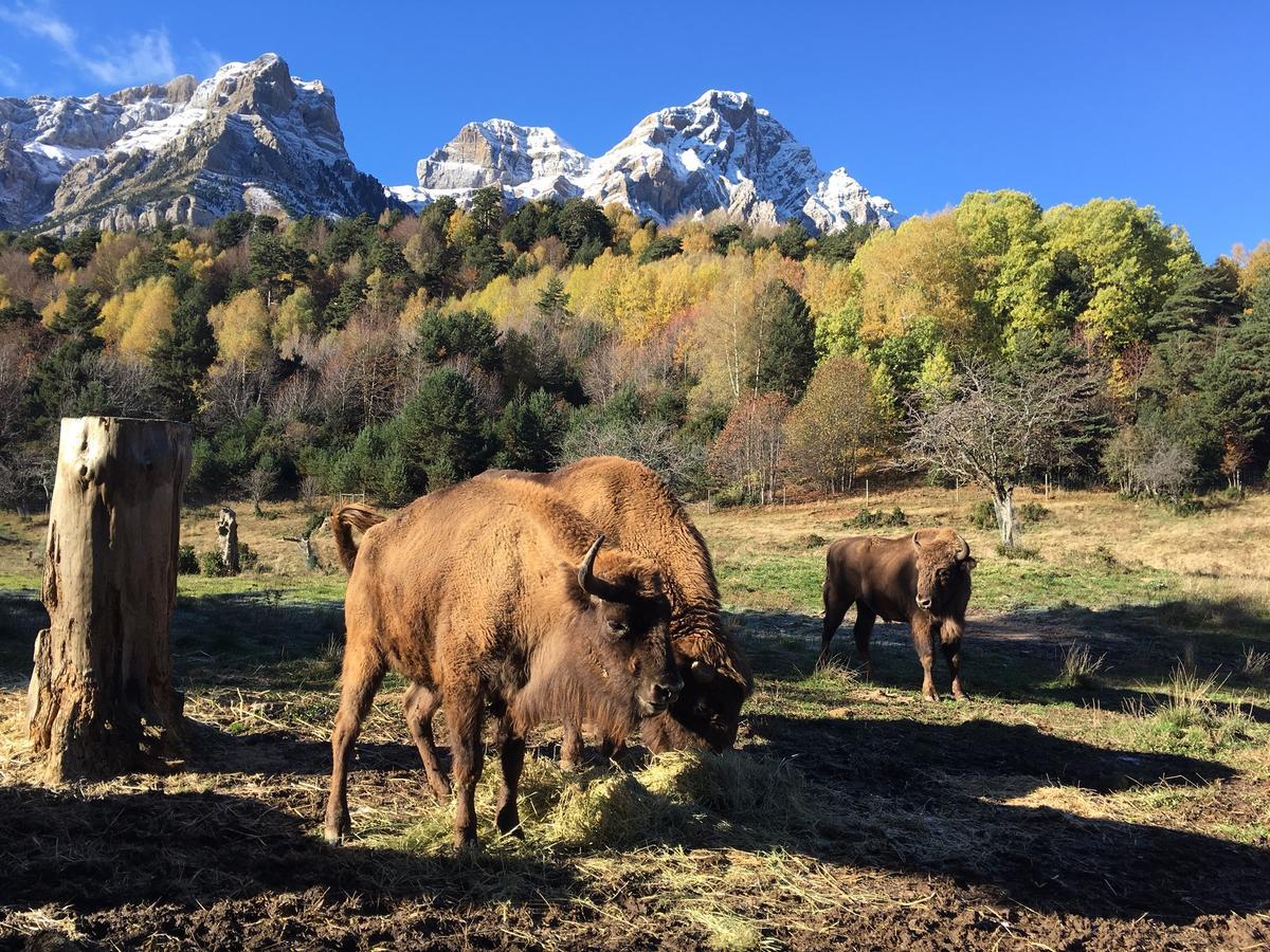 فندق Snoe Aragon Hills فورميغال الغرفة الصورة